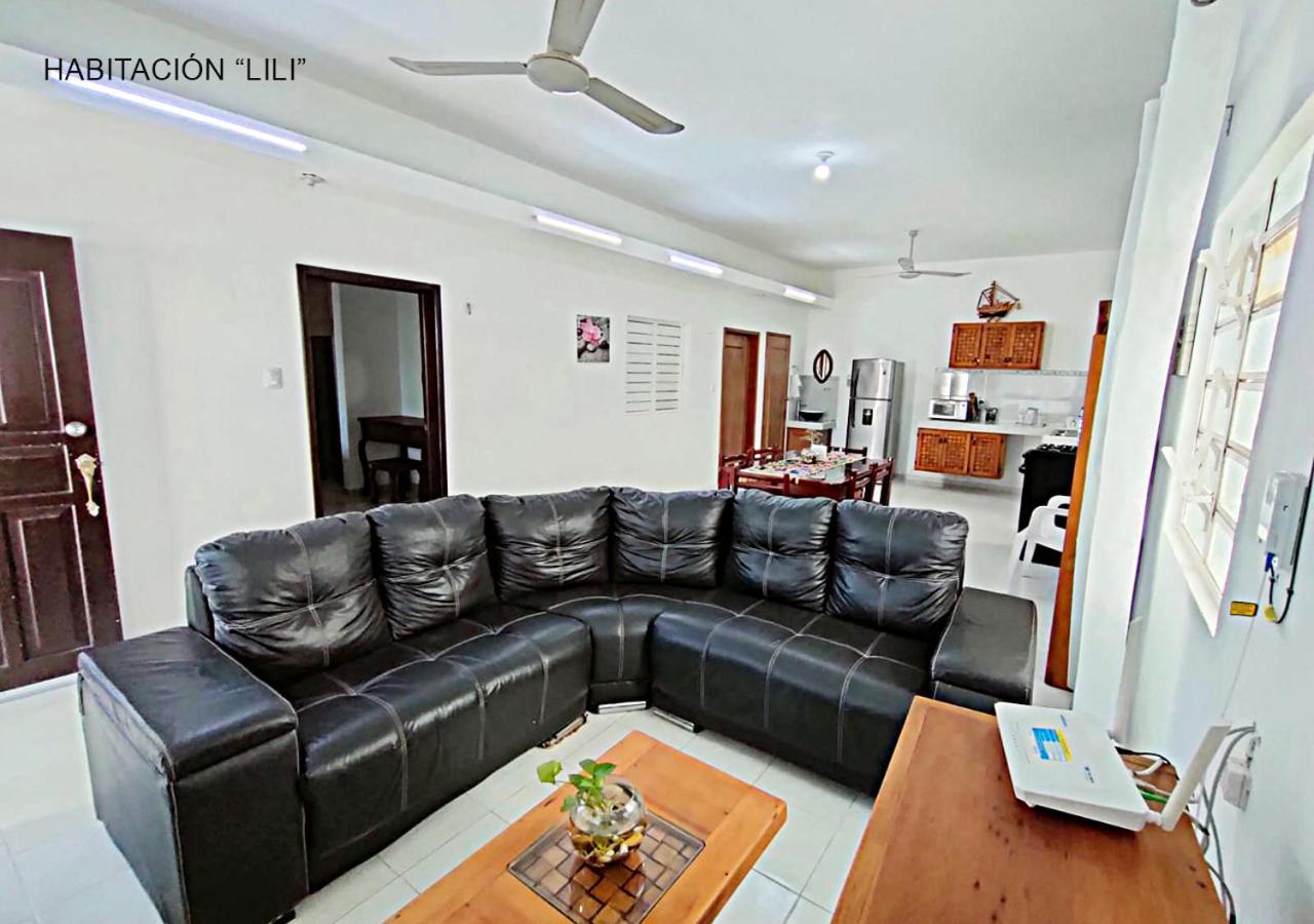 Apartment Departamentos Ileana