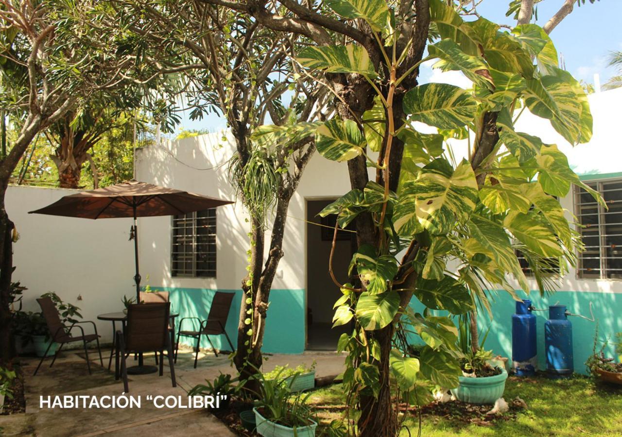 Apartment Departamentos Ileana