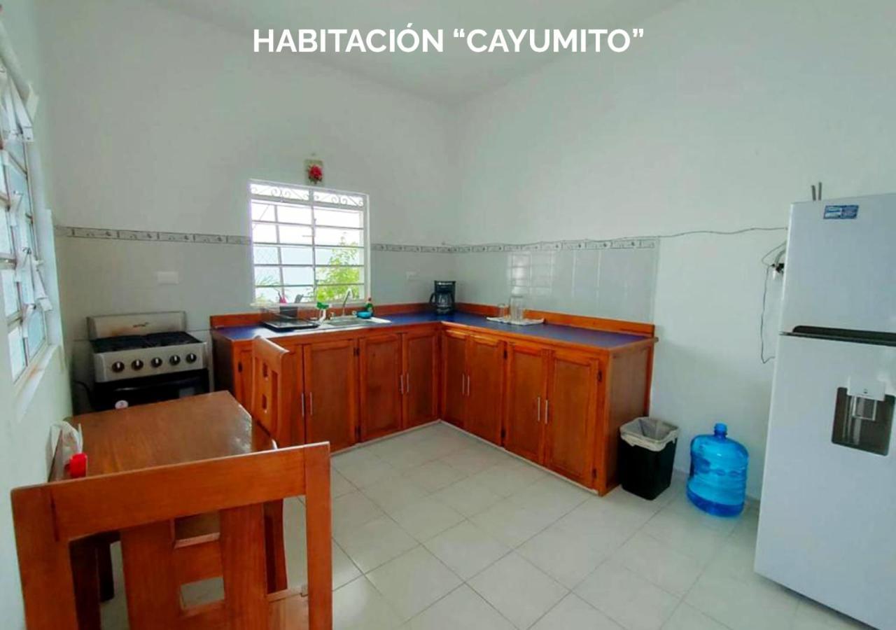 Apartment Departamentos Ileana *