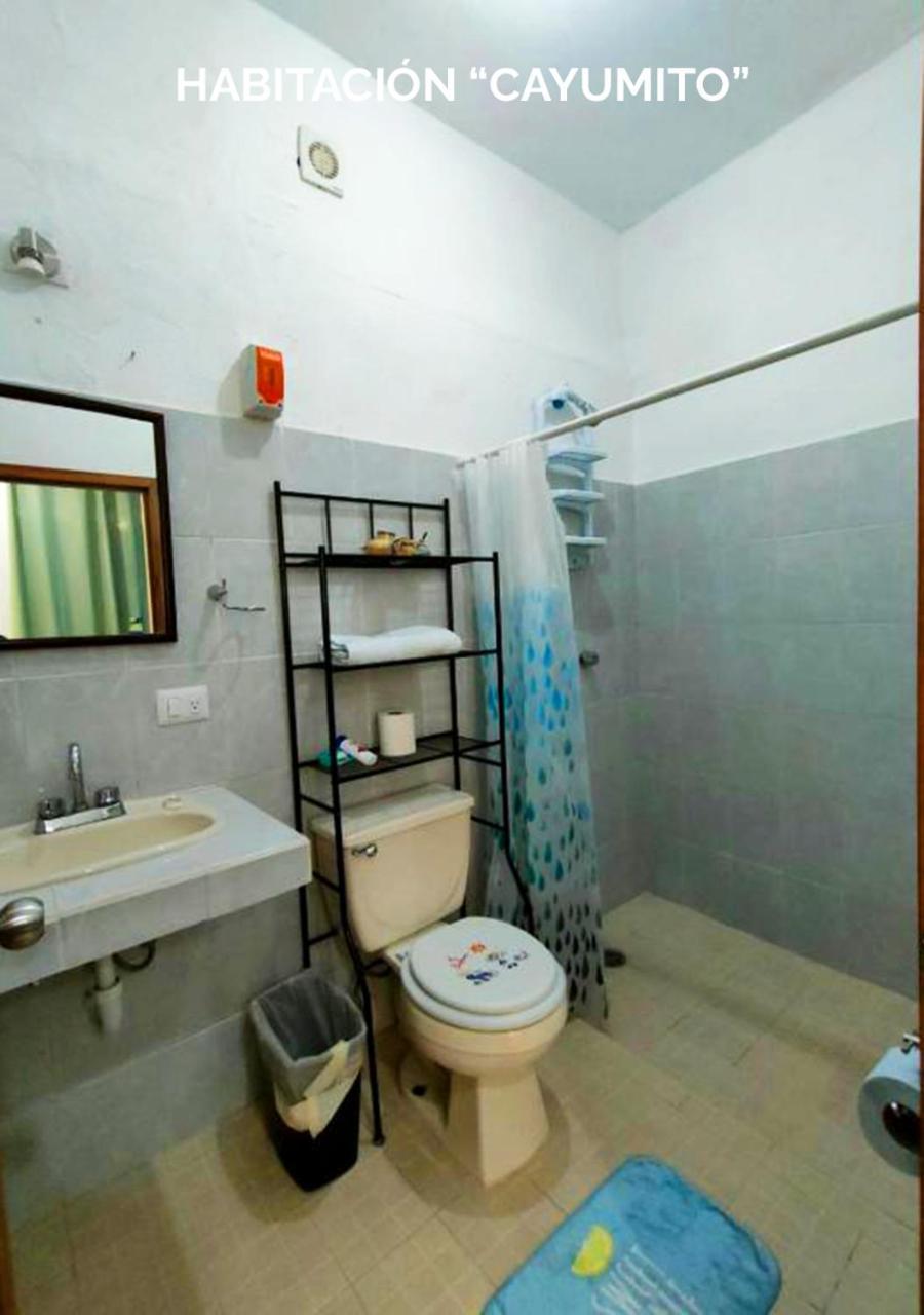 Apartment Departamentos Ileana *
